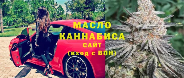 молекула духа Пересвет