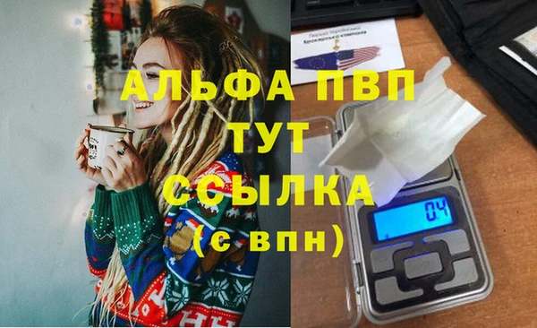 молекула духа Пересвет