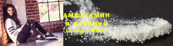 прущие грибы Осташков