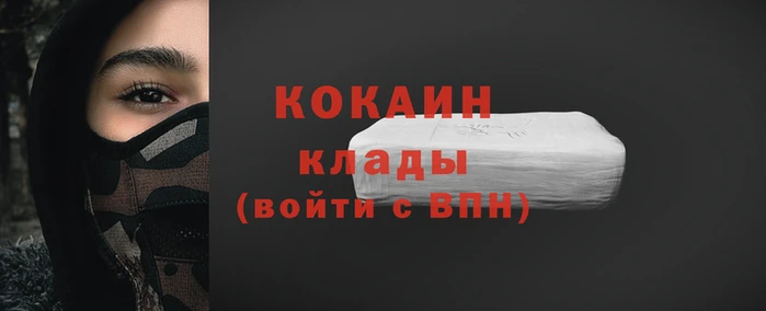 прущие грибы Осташков