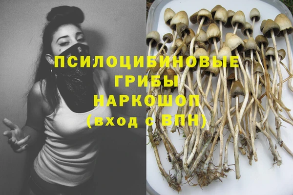 марки lsd Переславль-Залесский