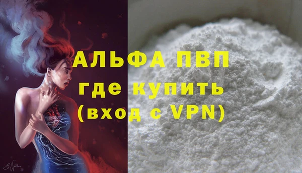молекула духа Пересвет