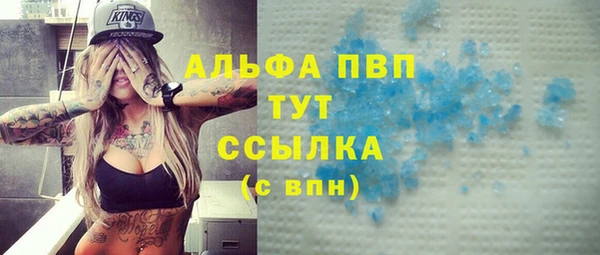 молекула духа Пересвет