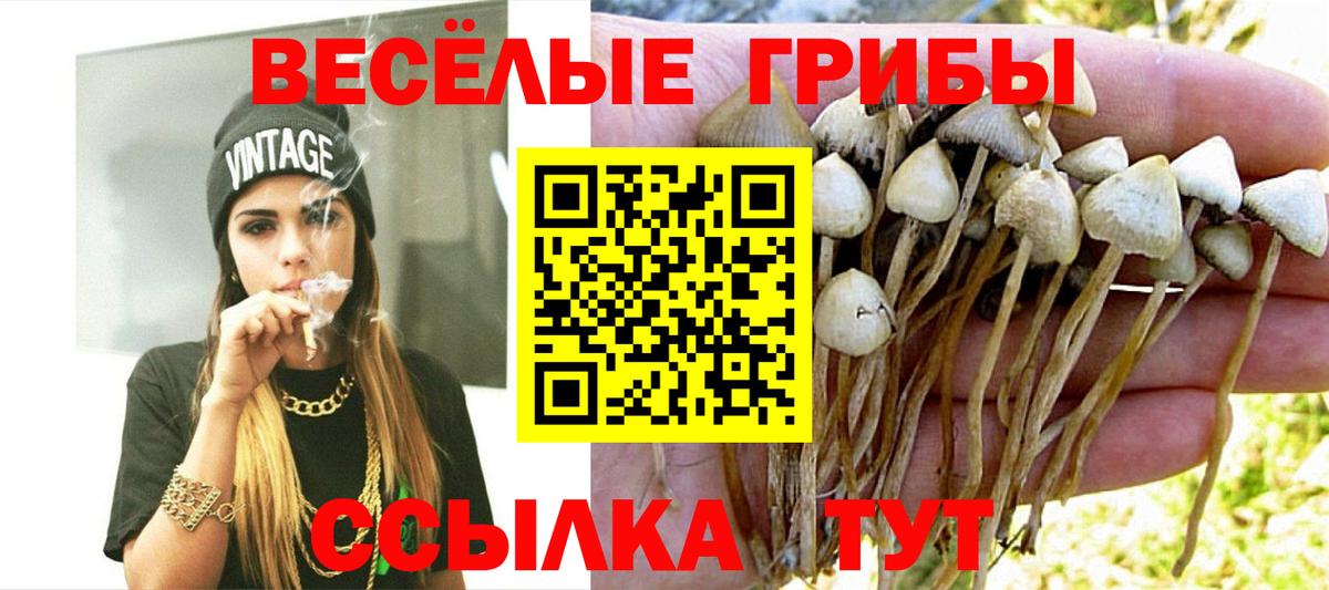 Галлюциногенные грибы мухоморы  Вход с VPN  Радужный  Псилоцибиновые грибы мицелий 